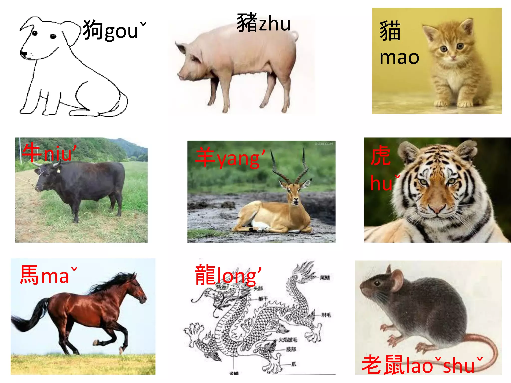 狗gouˇ 豬zhu 貓
mao
牛niu’ 羊yang’ 虎
huˇ
馬maˇ 龍long’
老鼠laoˇshuˇ
 