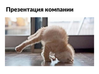 Презентация компании
 