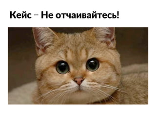 Кейс – Не отчаивайтесь!
 