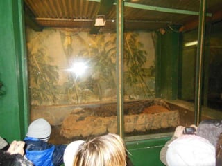 Єкскурсія в м. Дніпропетровськ