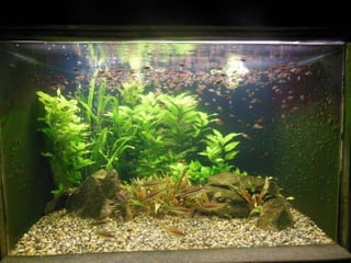 Єкскурсія в м. Дніпропетровськ