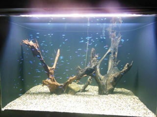 Єкскурсія в м. Дніпропетровськ