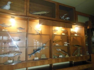 Єкскурсія в м. Дніпропетровськ