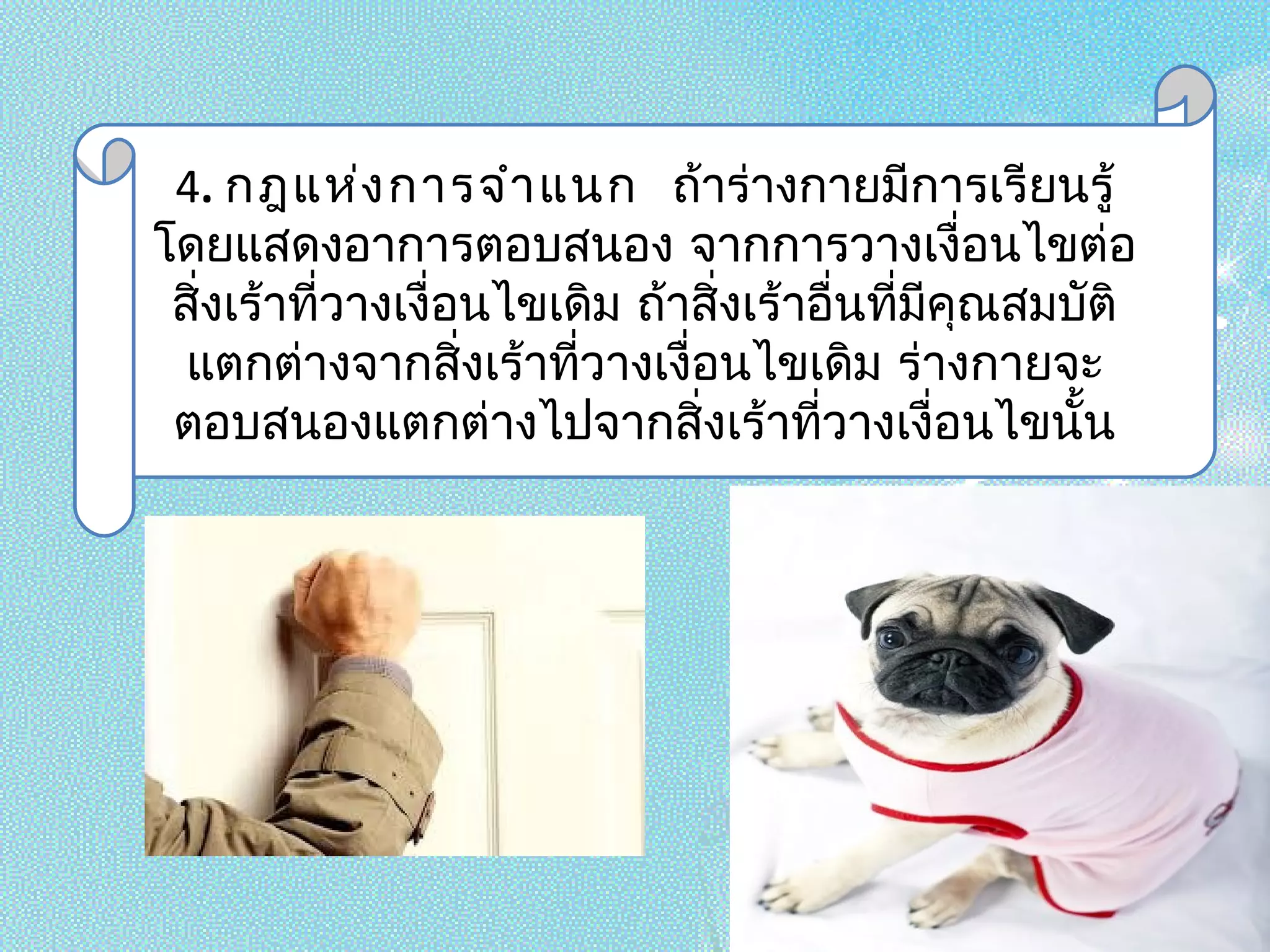 4. กฎแห่งการจำาแนก ถ้าร่างกายมีการเรียนรู้
โดยแสดงอาการตอบสนอง จากการวางเงื่อนไขต่อ
สิ่งเร้าที่วางเงื่อนไขเดิม ถ้าสิ่งเร้าอื่นที่มีคุณสมบัติ
แตกต่างจากสิ่งเร้าที่วางเงื่อนไขเดิม ร่างกายจะ
ตอบสนองแตกต่างไปจากสิ่งเร้าที่วางเงื่อนไขนั้น
 