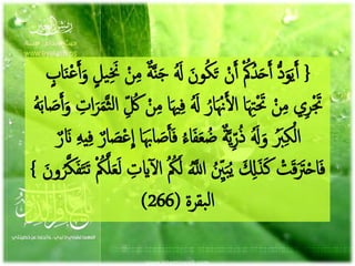 20/02/143717
{َ‫ون‬ُ‫ك‬َ‫ت‬ ْ‫ن‬َ‫أ‬ ْ ُ‫ُك‬ُ‫د‬َ‫ح‬َ‫أ‬ ُّ‫د‬َ‫و‬َ‫ي‬َ‫أ‬‫يل‬َِ‫َن‬ ْ‫ن‬ِ‫م‬ ٌ‫ة‬َّ‫ن‬َ‫ج‬ َُ‫َل‬‫اب‬َ‫ن‬ْ‫ع‬َ‫أ‬َ‫و‬
ُ‫ار‬َ ْ‫هن‬َ‫ل‬‫ا‬ ‫ا‬َ ِ‫ِت‬َْ‫حت‬ ْ‫ن‬ِ‫م‬ ‫ي‬ِ‫ر‬َْ‫جت‬َّ‫ث‬‫ل‬‫ا‬ ِِّ ُ‫ك‬ ْ‫ن‬ِ‫م‬ ‫ا‬َ‫هي‬ِ‫ف‬ َُ‫َل‬ُ‫ه‬َ‫ب‬‫ا‬ َ‫ص‬َ‫أ‬َ‫و‬ ِ‫ات‬َ‫ر‬َ‫م‬
َ‫ع‬ ُ‫ض‬ ٌ‫ة‬َّ‫ي‬ِِّ‫ر‬ُ‫ذ‬ َُ‫َل‬َ‫و‬ َُ‫َب‬ِ‫ك‬ْ‫ال‬ٌ‫ار‬ َ‫ص‬ْ‫ع‬
ِ
‫ا‬ ‫ا‬َ َ‫اَب‬ َ‫ص‬َ‫أ‬َ‫ف‬ ُ‫ء‬‫ا‬َ‫ف‬ٌ‫ر‬ َ‫ان‬ ِ‫ه‬‫ي‬ِ‫ف‬
ُ ِِّ‫ني‬َ‫ب‬ُ‫ي‬ َ ِ‫ِل‬َ‫ذ‬َ‫ك‬ ْ‫ت‬َ‫ق‬ََ‫رت‬ْ‫ح‬‫ا‬َ‫ف‬َ‫ع‬َ‫ل‬ ِ‫ايت‬‫آ‬‫ل‬‫ا‬ ُ ُ‫ُك‬َ‫ل‬ َُّ‫اَّلل‬ُ‫ر‬َّ‫ك‬َ‫ف‬َ‫ت‬َ‫ت‬ ْ ُ‫ُك‬َّ‫ل‬َ‫ون‬}
‫بقرة‬‫ل‬‫ا‬(266)
 