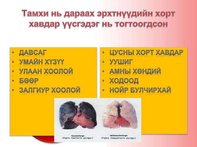 Тамхины хор хөнөөл | PPT