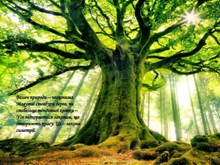 Велич природи – неоцінима.
Могутні стовбури дерев, чи
стебельце тендітної квітки –
Усе підкоряється законам, що
створюють красу. Це – закони
симетрії.
 