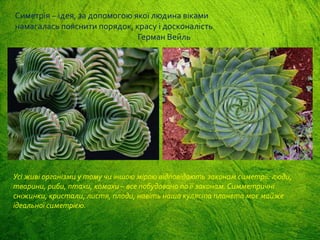 Симетрія – ідея, за допомогою якої людина віками
намагалась пояснити порядок, красу і досконалість
Герман Вейль
Усі живі організми у тому чи іншою мірою відповідають законам симетрії: люди,
тварини, риби, птахи, комахи – все побудовано по її законам. Симметричні
сніжинки, кристали, листя, плоди, навіть наша куляста планета має майже
ідеальної симетрією.
 