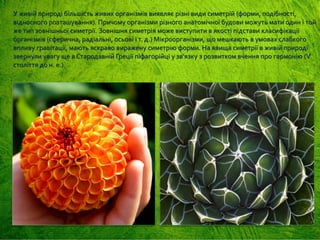 У живій природі більшість живих організмів виявляє різні види симетрій (форми, подібності,
відносного розташування). Причому організми різного анатомічної будови можуть мати один і той
же тип зовнішньої симетрії. Зовнішня симетрія може виступити в якості підстави класифікації
організмів (сферична, радіальні, осьові і т. д.) Мікроорганізми, що мешкають в умовах слабкого
впливу гравітації, мають яскраво виражену симетрію форми. На явища симетрії в живій природі
звернули увагу ще в Стародавній Греції піфагорійці у зв'язку з розвитком вчення про гармонію (V
століття до н. е.).
 