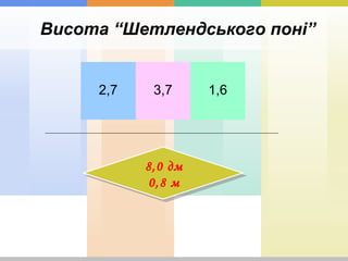 Висота “Шетлендського поні”
2,7 3,7 1,6
8,0 дм
0,8 м
8,0 дм
0,8 м
 