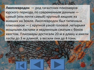 Лиоплевродон — род гигантских плиозавров
юрского периода, по современным данным —
самый (или почти самый) крупный хищник из
живших на Земле. Лиоплевродон был типичным
плиозавром — с крупной узкой головой ,четырьмя
мощными ластами и недлинным сжатым с боков
хвостом. Плиозавры достигали 20 м в длину и имели
ласты до 3 м длиной, а весили они да 4 тонн.
 