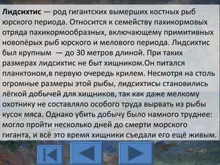 Лидсихтис — род гигантских вымерших костных рыб
юрского периода. Относится к семейству пахикормовых
отряда пахикормообразных, включающему примитивных
новопёрых рыб юрского и мелового периода. Лидсихтис
был крупным — до 30 метров длиной. При таких
размерах лидсихтис не быт хищником.Он питался
планктоном,в первую очередь крилем. Несмотря на столь
огромные размеры этой рыбы, лидсихтисы становились
лёгкой добычей для хищников, так как даже мелкому
охотнику не составляло особого труда вырвать из рыбы
кусок мяса. Однако убить добычу было намного труднее:
могло пройти несколько дней до смерти морского
гиганта, и всё это время хищники съедали его ещё живым.
 