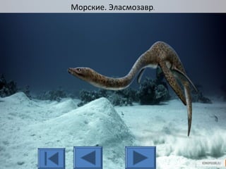 Морские. Эласмозавр.
 