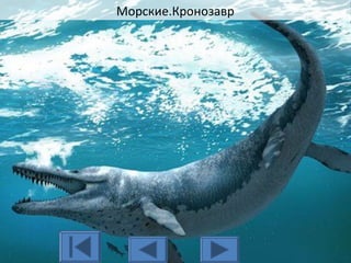 Морские.Кронозавр
 