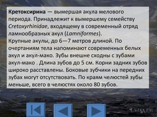 Кретоксирина — вымершая акула мелового
периода. Принадлежит к вымершему семейству
Cretoxyrhinidae, входящему в современный отряд
ламнообразных акул (Lamniformes).
Крупные акулы, до 6—7 метров длиной. По
очертаниям тела напоминают современных белых
акул и акул-мако. Зубы внешне сходны с зубами
акул-мако . Длина зубов до 5 см. Корни задних зубов
широко расставлены. Боковые зубчики на передних
зубах могут отсутствовать. По краям челюстей зубы
меньше, всего в челюстях около 80 зубов.
 