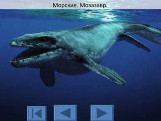 Морские. Мозазавр.
 
