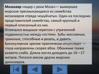 Мозазавр «ящер с реки Моза»— вымершее
морское пресмыкающееся из семейства
мозазавров отряда чешуйчатых. Один из последних
представителей семейства, самый крупный и
первый описанный из них.
Отличался мощным черепом с утраченной
подвижностью между костями. Зубы массивные,
граненые, способные и резать, и давить.
Бинокулярное зрение практически отсутствует —
глаза направлены скорее вбок. Обоняние также
развито слабо. Длина могла доходить до 16—17
метров. Питался мясом других морских
динозавров.
 