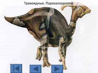 Травоядные. Паразалоуролоф.
 