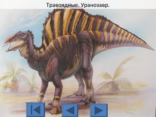 Травоядные. Уранозавр.
 