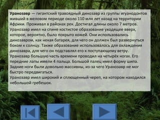 Уранозавр — гигантский травоядный динозавр из группы игуанодонтов
живший в меловом периоде около 110 млн лет назад на территории
Африки. Проживал в районах рек. Достигал длины около 7 метров.
Уранозавр имел на спине костистое образование уходящее вверх,
которое, вероятно, было покрыто кожей. Они использовались
динозавром, как некая батарея, для чего он должен был развернуться
боком к солнцу. Также образование использовалось для охлаждения
динозавра, для чего он подставлял его к поступающему ветру.
Уранозавр большую часть времени проводил на четырёх ногах. Его
передние лапы имели 4 пальца. Большой палец имел форму шипа.
Задние ноги были довольно массивны, из-за чего Уранозавр не мог
быстро передвигаться.
Уранозавр имел широкий и сплющенный череп, на котором находился
небольшой гребешок.
 