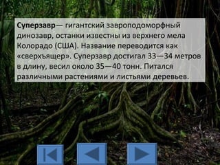 Суперзавр— гигантский завроподоморфный
динозавр, останки известны из верхнего мела
Колорадо (США). Название переводится как
«сверхъящер». Суперзавр достигал 33—34 метров
в длину, весил около 35—40 тонн. Питался
различными растениями и листьями деревьев.
 