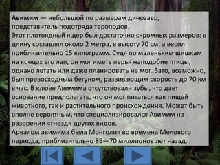 Авимим — небольшой по размерам динозавр,
представитель подотряда тероподов.
Этот плотоядный ящер был достаточно скромных размеров: в
длину составлял около 2 метра, в высоту 70 см, а весил
приблизительно 15 килограмм. Судя по маленьким шишкам
на концах его лап, он мог иметь перья наподобие птицы,
однако летать или даже планировать не мог. Зато, возможно,
был превосходным бегуном, развивающим скорость до 70 км
в час. В клюве Авимима отсутствовали зубы, что дает
основание предполагать, что он мог питаться как пищей
животного, так и растительного происхождения. Может быть
вполне вероятным, что специализировался Авимим на
разорении «гнезд» других видов.
Ареалом авимима была Монголия во времена Мелового
периода, приблизительно 85—70 миллионов лет назад.
 