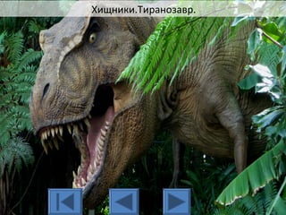 Хищники.Тиранозавр.
 