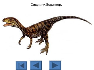 Хищники.Эораптор.
 