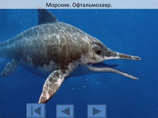 Морские. Офтальмозавр.
 