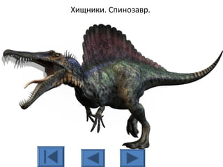 Хищники. Спинозавр.
 