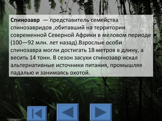 Спинозавр — представитель семейства
спинозавридов ,обитавший на территории
современной Северной Африки в меловом периоде
(100—92 млн. лет назад).Взрослые особи
спинозавра могли достигать 18 метров в длину, а
весить 14 тонн. В сезон засухи спинозавр искал
альтернативные источники питания, промышляя
падалью и занимаясь охотой.
 