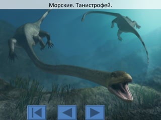 Морские. Танистрофей.
 