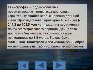 Танистрофей— род ископаемых
пресмыкающихся подкласса диапсиды,
характеризующийся необыкновенно длинной
шеей. Просуществовал примерно 40 млн лет (с
247,2 до 208,5 млн лет назад), на протяжении
почти всего триасового периода. Длина тела
достигала 5-и метров, из которых на шею
приходилось до 3,5 метра. Голова была
маленькой. Танистрофей вёл хищнический образ
жизни, охотясь на рыб и головоногих моллюсков.
 