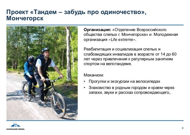 благотворительная программа образец
