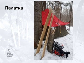 Палатка
 