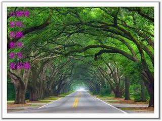 五個要：
要唱，
要跳，
要 ，俏
要笑，
要苗條
 