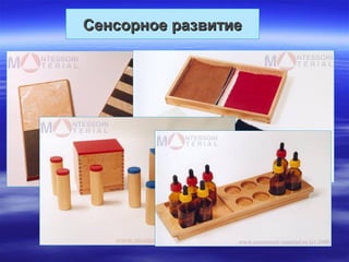 Сенсорное развитиеСенсорное развитие
 