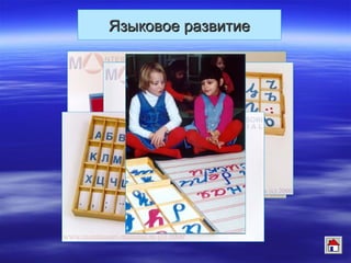 Языковое развитиеЯзыковое развитие
 