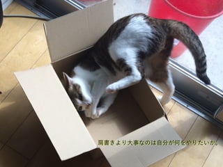 肩書きより大事なのは自分が何をやりたいか。
 