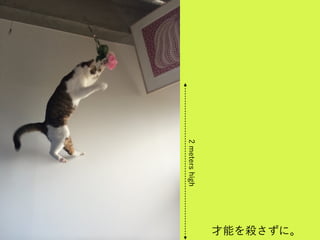 才能を殺さずに。
2metershigh
 