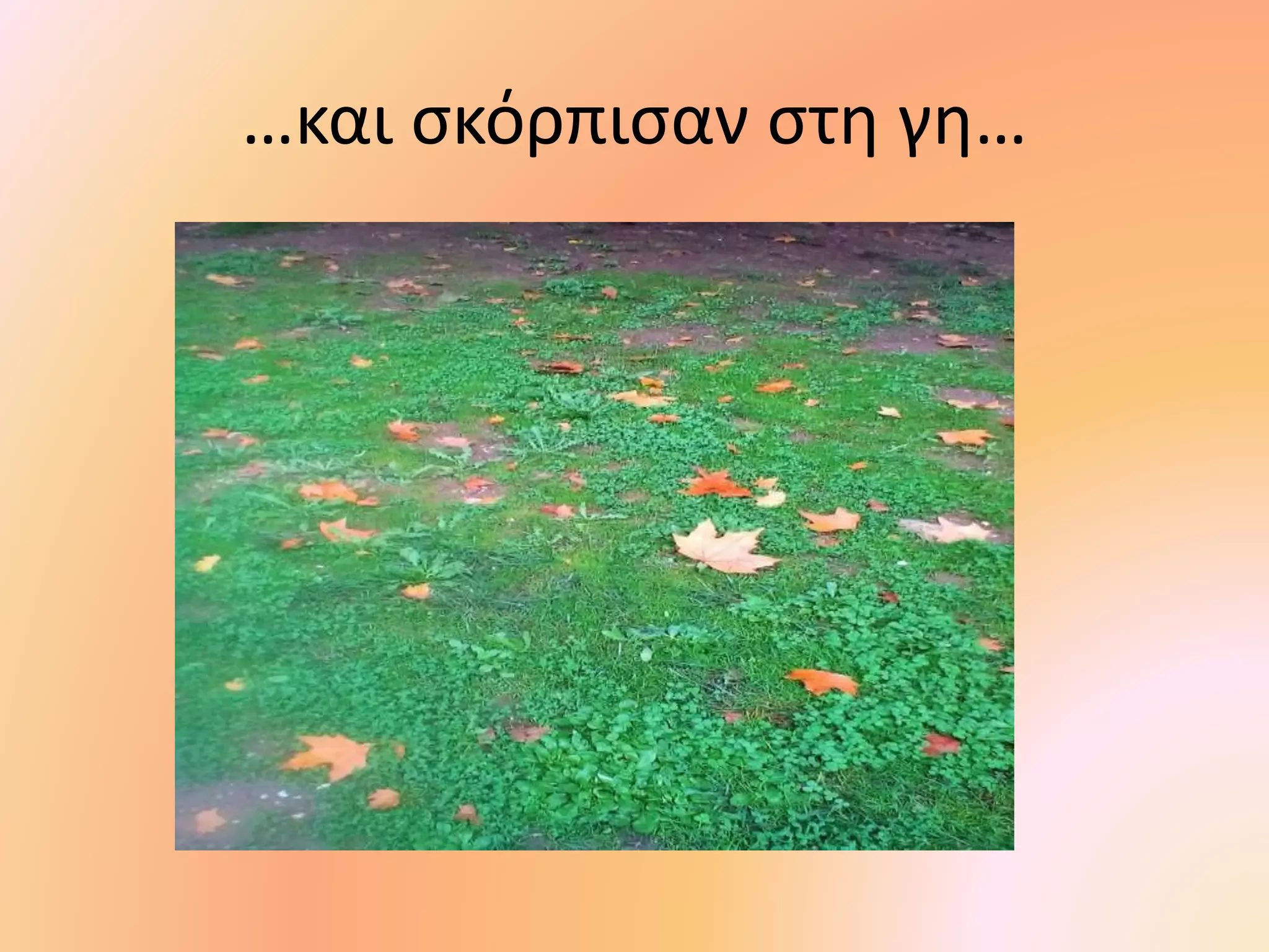 …και σκόρπισαν στη γη…
 