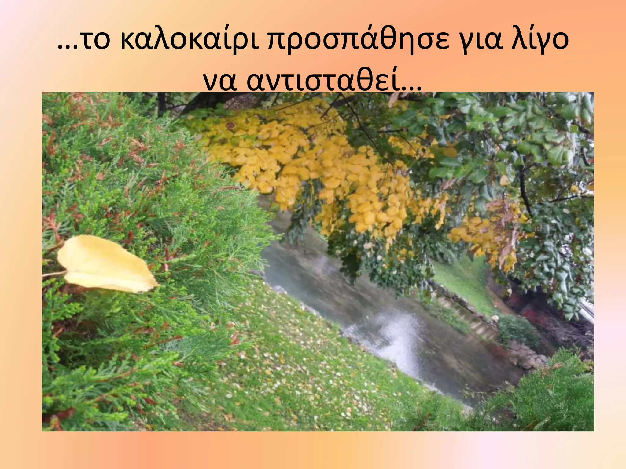 …το καλοκαίρι προσπάθησε για λίγο
να αντισταθεί…
 