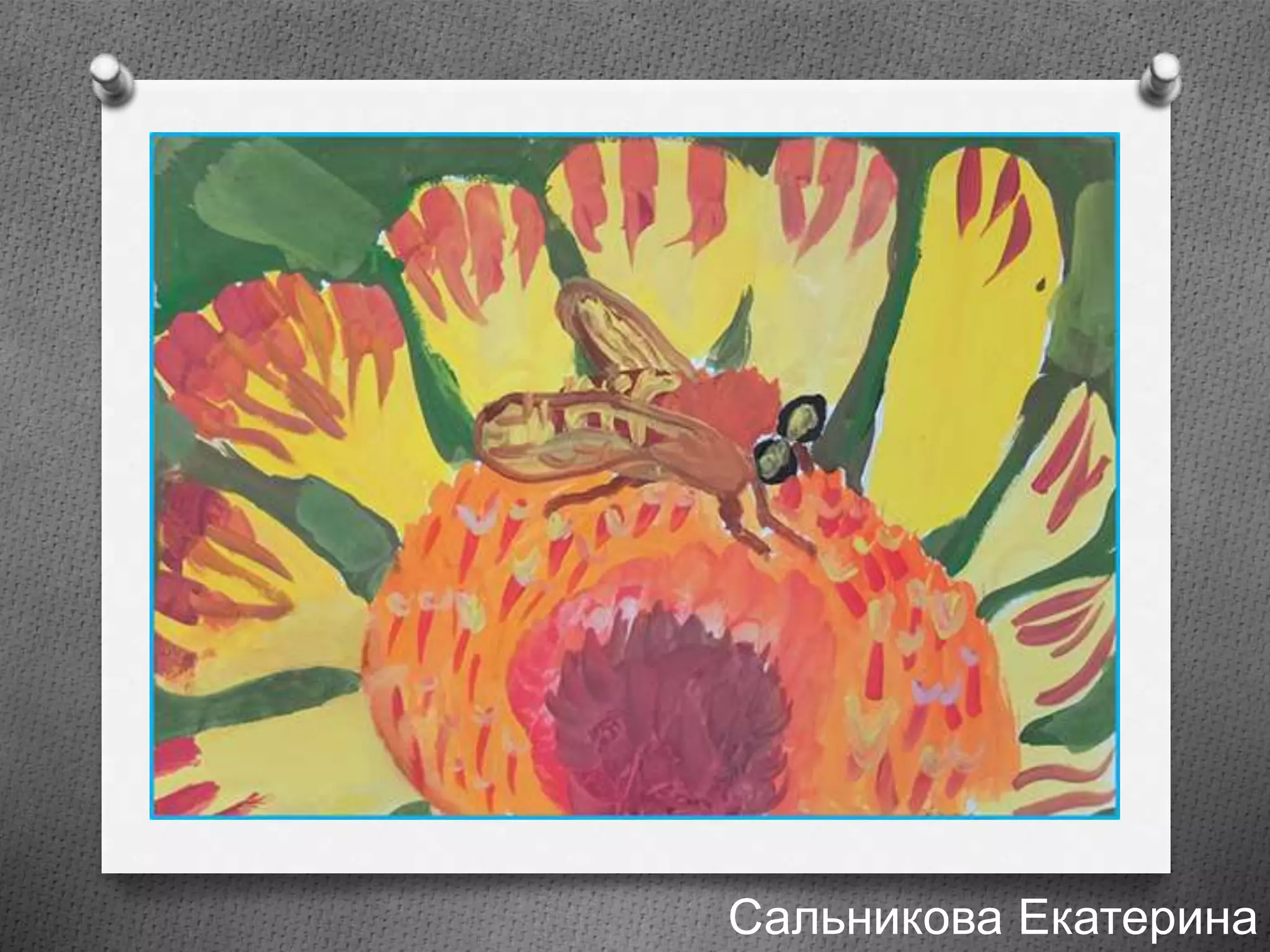 Сальникова Екатерина
 