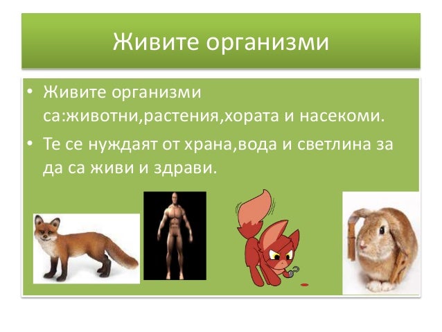 Алекс Живите организми