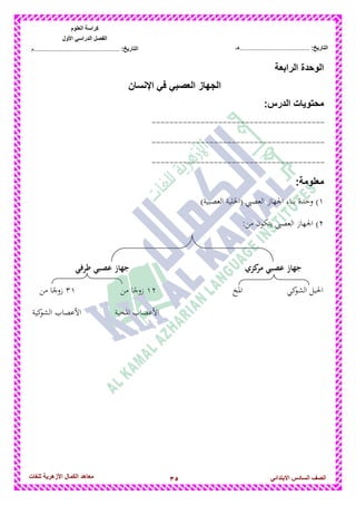 35‫للغات‬ ‫األزهرٌة‬ ‫الكمال‬ ‫معاهد‬ ‫الصف‬‫السادس‬ً‫االبتدائ‬
‫العلوم‬ ‫كراسة‬
‫األول‬ ً‫الدراس‬ ‫الفصل‬
:‫التارٌخ‬‫...............................................م‬ :‫التارٌخ‬................................‫......هـ‬
‫الرابعة‬ ‫الوحدة‬
‫اإلنسان‬ ً‫ف‬ ً‫العصب‬ ‫الجهاز‬
‫محتوٌات‬:‫الدرس‬
---------------------------------------
---------------------------------------
---------------------------------------
:‫معلومة‬
1‫(اخل‬ ‫العصيب‬ ‫اجلهاز‬ ‫بناء‬ ‫وحدة‬ ))‫العصبية‬ ‫لية‬
2:‫من‬ ‫يتكون‬ ‫العصيب‬ ‫اجلهاز‬ )
‫كزي‬‫مر‬ ‫عصبي‬ ‫جهاز‬‫طراي‬ ‫عصبي‬ ‫جهاز‬
‫كي‬‫الشو‬ ‫احلبل‬‫ادلخ‬12‫من‬ ‫ا‬ً‫زوج‬31‫من‬ ‫ا‬ً‫زوج‬
‫ادلخية‬ ‫األعصاب‬‫كية‬‫الشو‬ ‫األعصاب‬
 