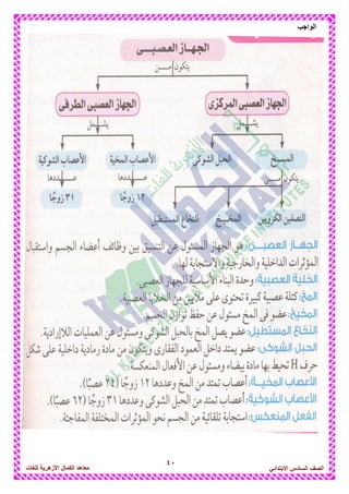 41
‫الواجب‬
‫للغات‬ ‫األزهرٌة‬ ‫الكمال‬ ‫معاهد‬ ‫الصف‬‫السادس‬ً‫االبتدائ‬
 