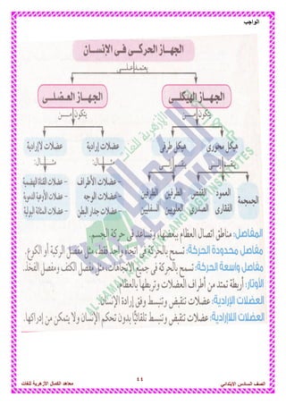 44
‫الواجب‬
‫للغات‬ ‫األزهرٌة‬ ‫الكمال‬ ‫معاهد‬ ‫الصف‬‫السادس‬ً‫االبتدائ‬
 