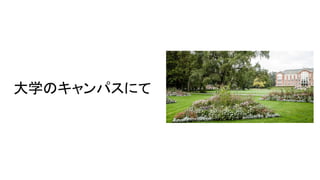 大学のキャンパスにて
 
