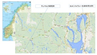 BUA（ノルウェー生命科学大学）テレマルク研究所
 