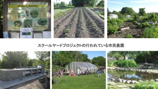 スクールヤードプロジェクトの行われている市民農園
 